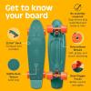 image:imageRetrospec Quip Mini Cruiser Skateboard 225 Classic Retro Plastic Cruiser Complete Skateboard with ABEC 7 Bearings and PU Wheels Compact Board wGrippy Molded Waffle DeckTropical Teal