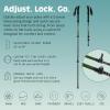 image:imageRetrospec Solstice Hiking Poles for Men amp Women  Adjustable and Collapsible Lightweight Walking amp Trekking Sticks  Aluminum wCork or Foam GripMatte Forest