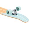 image:imageRetrospec Zed Pintail amp Cruiser Longboard Adult Skateboard  44in Bamboo amp Canadian Maple Deck with ABEC7 Bearings 70mm PU Wheels for Commuting amp CarvingAqua Fishtail