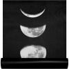 Moonlight