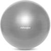 image:imageRetrospec Retrospec Luna Exercise BallGraphite