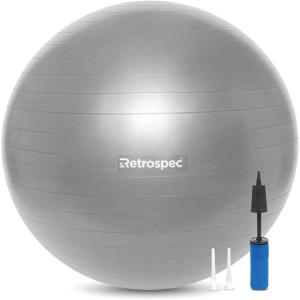 image:imageRetrospec Retrospec Luna Exercise BallGraphite